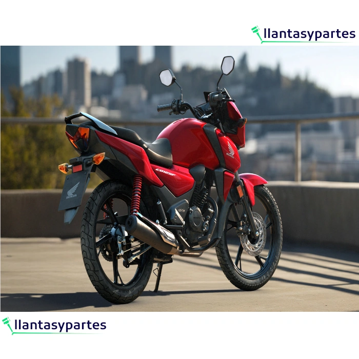 Llantas Starmaxx Polar RD07 - 2