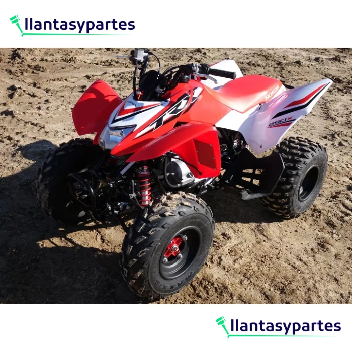 Llantas para Moto Arisun AR18 20X10-9-2