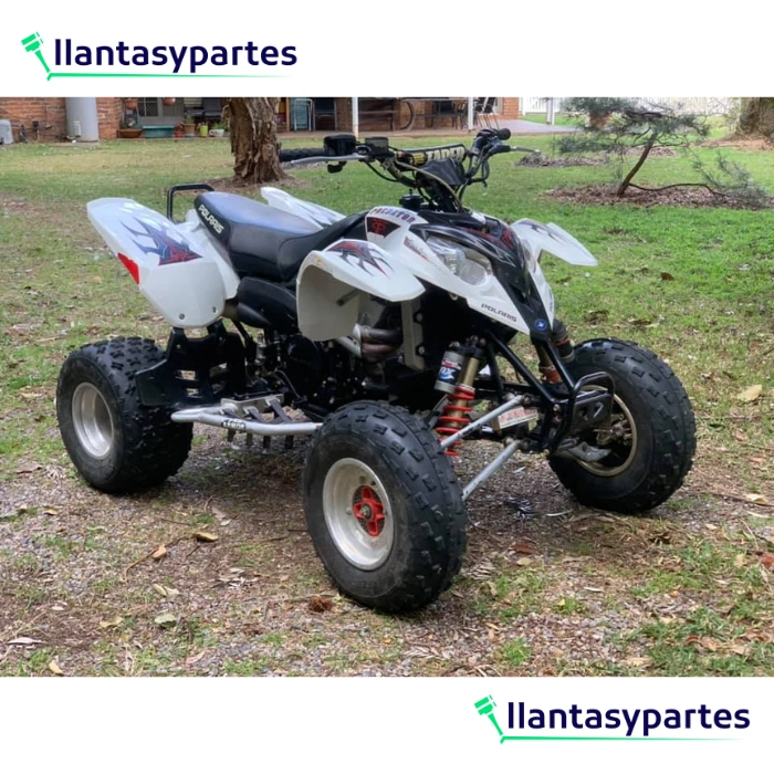 Llantas para Moto Arisun AR06 20X11-8-2