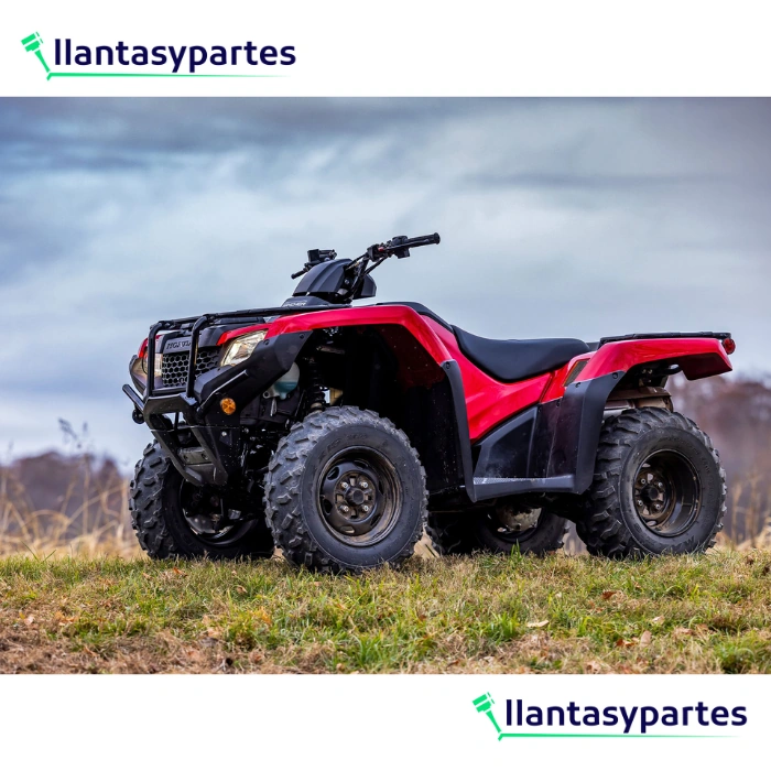 Llantas para Moto Arisun AR12 24X8-12-2